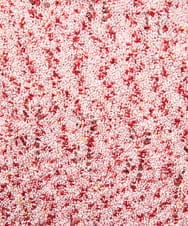 GJFDE31180 Jocomomola(ホコモモラ) カラーネップニットプルオーバー レッド