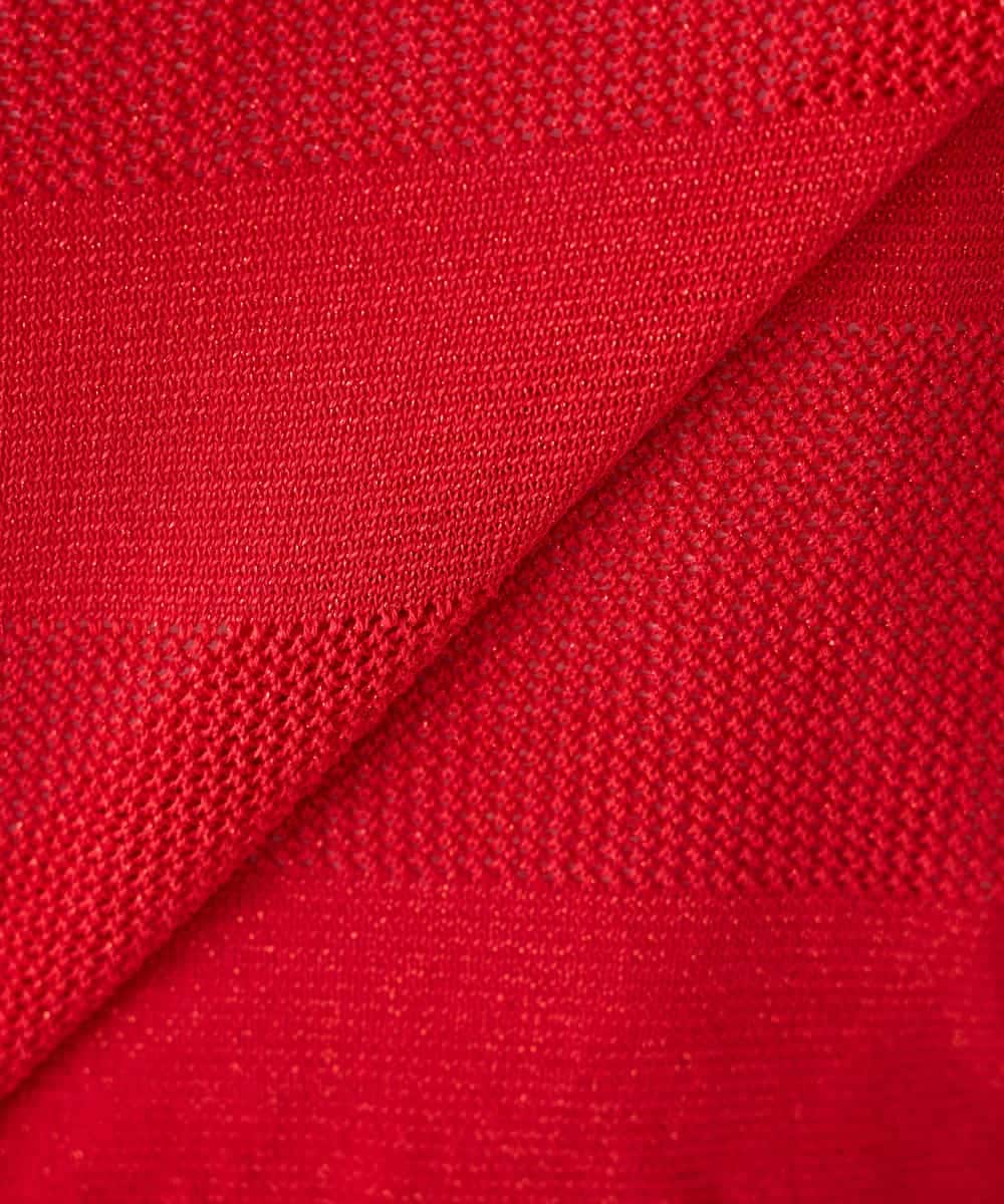 K2FGD34049 a.v.v(アー・ヴェ・ヴェ) ラメッシュボーダープルオーバー レッド