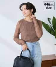 K3KED04029 a.v.v Elmi(アー・ヴェ・ヴェ) 【低身長サイズ】ストレッチレーストップス ベージュ