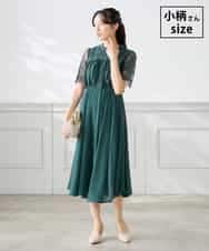 KAEGF10159 a.v.v Elmi(アー・ヴェ・ヴェ) 【低身長サイズ】【結婚式/お呼ばれに】レースドッキングワンピース ダークグリーン