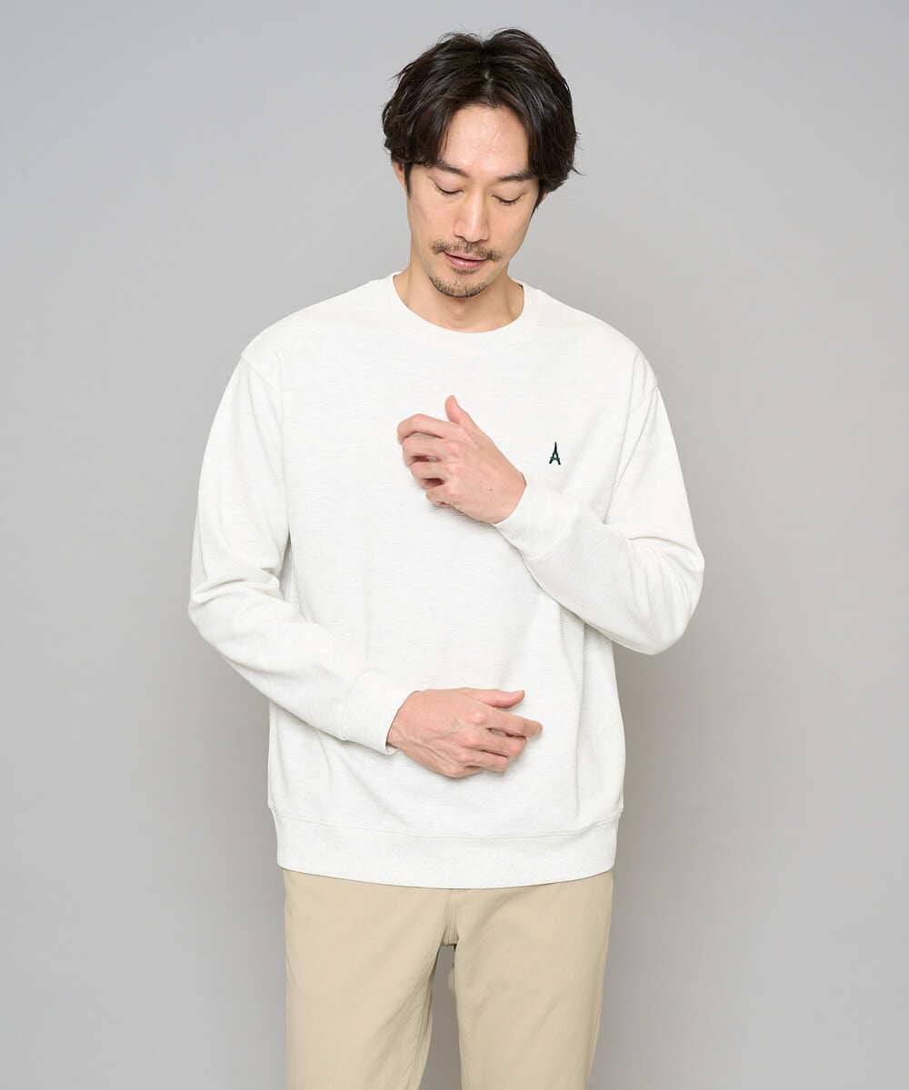 KHKED10044 a.v.v MEN(アー・ヴェ・ヴェ) 【イージーケア/洗濯機で洗える/毛玉になりにくい】アゼダブルフェイス1ポイント刺繍プルオーバー ライトグレー