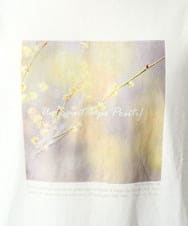 KHKED12049 a.v.v MEN(アー・ヴェ・ヴェ) フォトグラファーコラボ ワイドシルエットカットソー ダークグレー