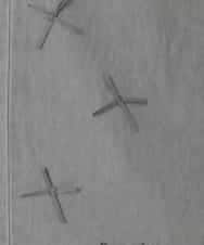 KJLFD30044 a.v.v KIDS(アー・ヴェ・ヴェ) [120-160]【選べるデザイン】デザインワイドストレートデニム ブルー