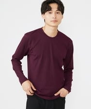 MKKAX33045 MK MICHEL KLEIN HOMME(MKミッシェルクランオム) 【WEB限定】ストライプカットソー パープル(77)