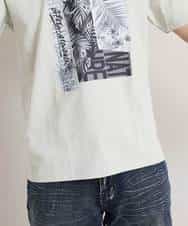 MKKGO03059 MK MICHEL KLEIN HOMME(MKミッシェルクランオム) オーガニックコットンカットソー ライトグレー(91)