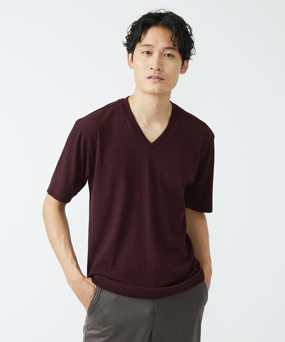 MKKGS56059 MK MICHEL KLEIN HOMME(MKミッシェルクランオム) ブランドベーシック / テレコVネックカットソー パープル