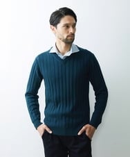 MNFAS01150 MICHEL KLEIN HOMME(ミッシェルクラン オム) グラデーションVネックニット グリーン(35)