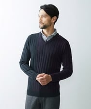 MNFAS01150 MICHEL KLEIN HOMME(ミッシェルクラン オム) グラデーションVネックニット パープル(63)