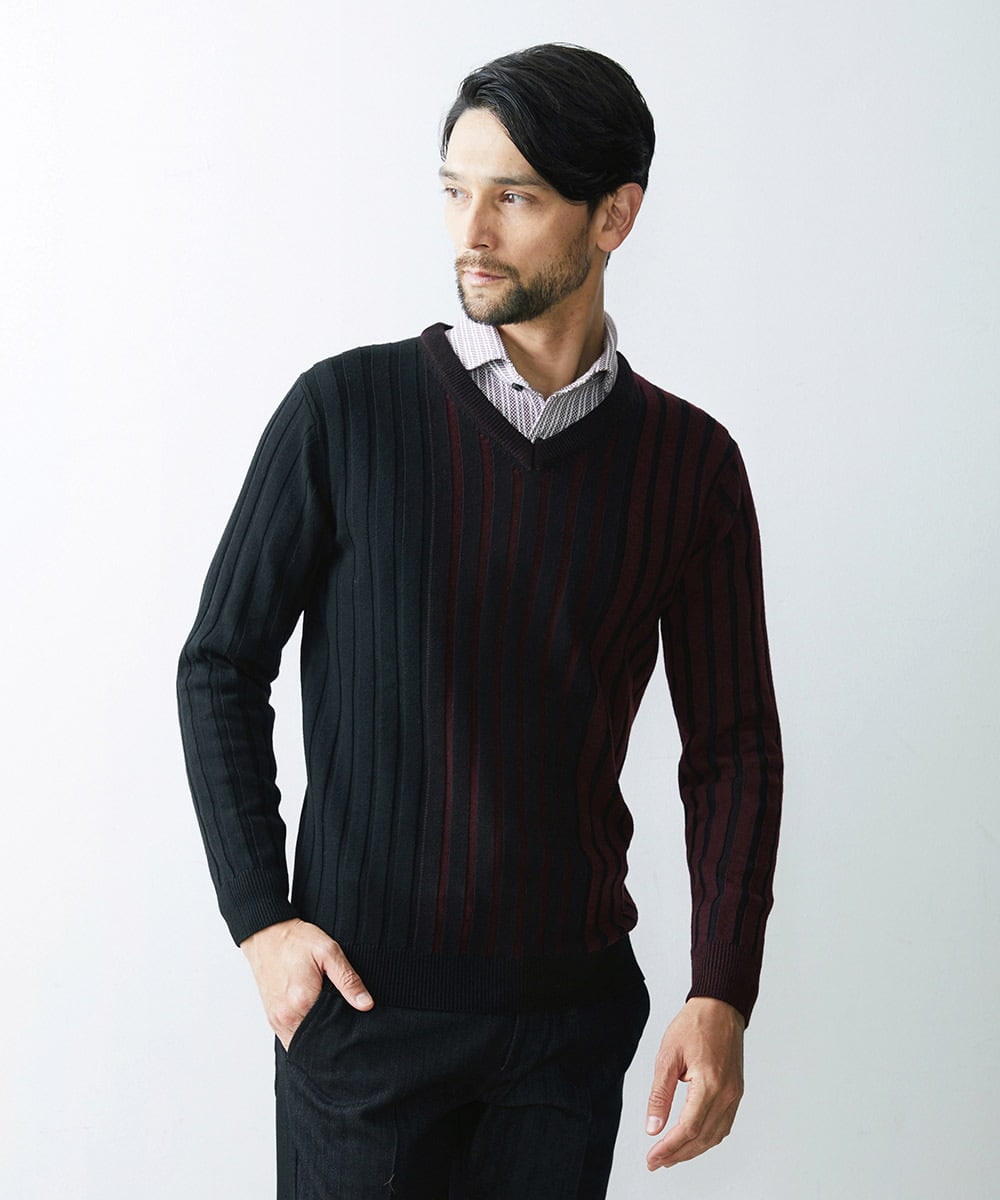MNFAS01150 MICHEL KLEIN HOMME(ミッシェルクラン オム) グラデーションVネックニット パープル(77)
