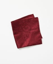 MO9TF50060 MICHEL KLEIN HOMME(ミッシェルクラン オム) ポケットチーフ パープル
