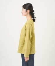 NGBGD31290 GIANNI LO GIUDICE(ジャンニ ロ ジュディチェ) [洗える]シャドーボイルドットブラウス イエロー