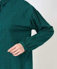 NGBHF64210 GIANNI LO GIUDICE(ジャンニ ロ ジュディチェ) [洗える]コットンギンガムプリントブラウス グリーン