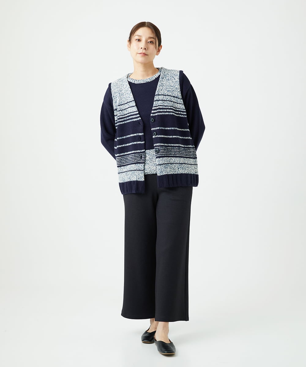 NGFCF50250 GIANNI LO GIUDICE(ジャンニ ロ ジュディチェ) [洗える]カスリパネルボーダーニット ネイビー