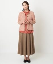 NGHAW09250 GIANNI LO GIUDICE(ジャンニ ロ ジュディチェ) [日本製]NEWOOLカシミヤツイルスカート ベージュ
