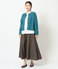 NGHJD16330 GIANNI LO GIUDICE(ジャンニ ロ ジュディチェ) [洗える]レジメンストライプスカート ブラウン