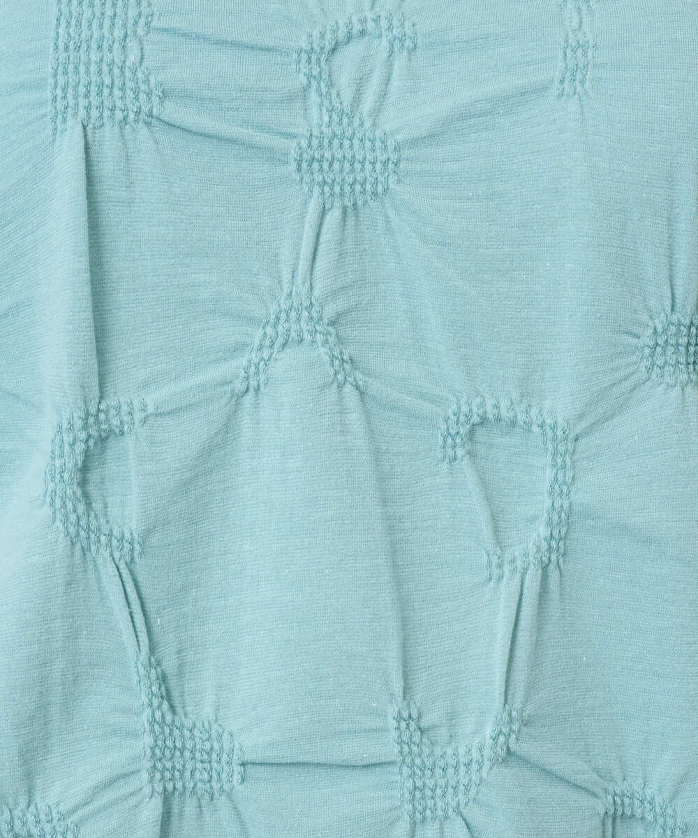 NGKGE47170 GIANNI LO GIUDICE(ジャンニ ロ ジュディチェ) [洗える・日本製]麻混シャーリングフレンチスリーブカットソー ライトブルー