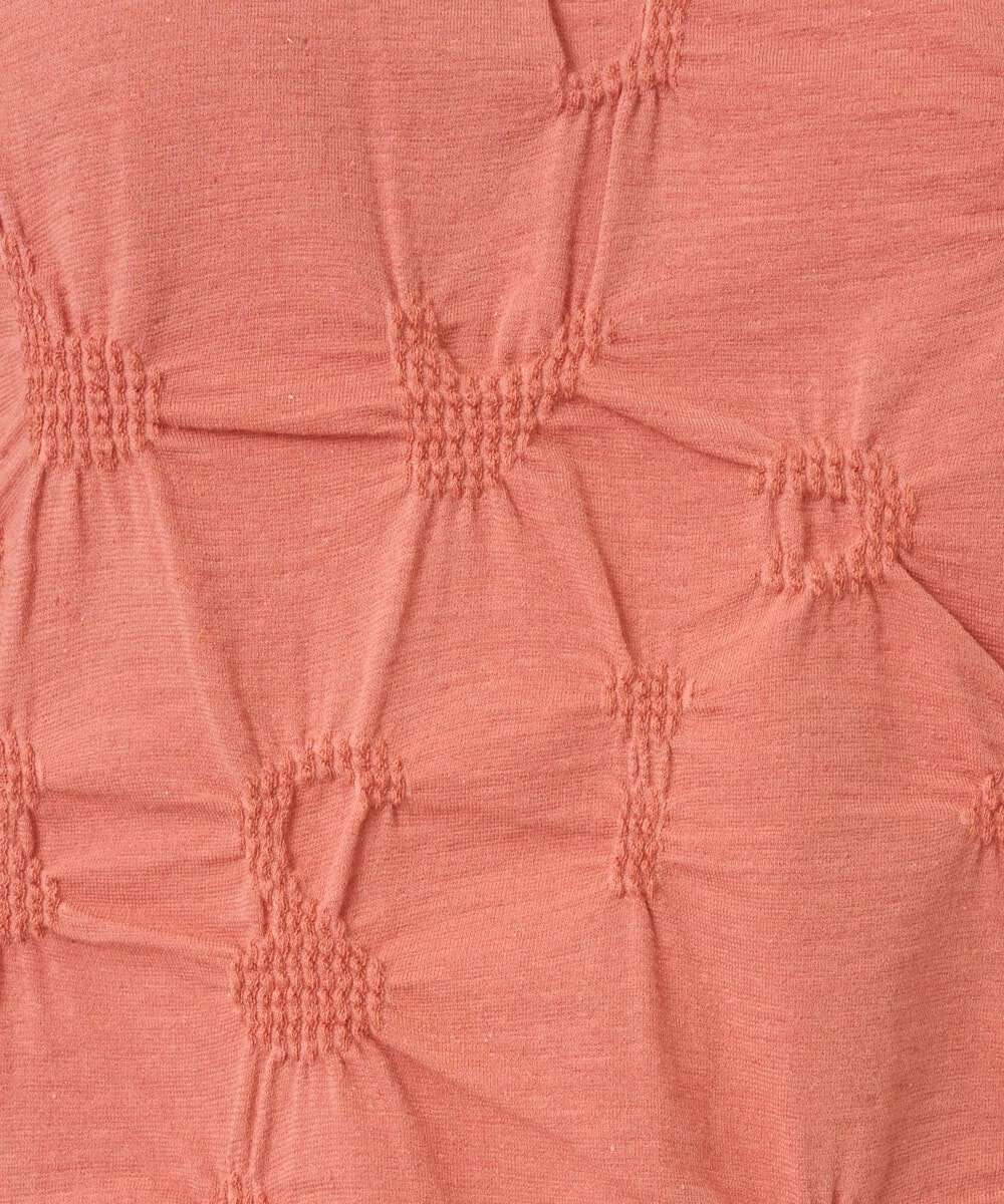 NGKGE47170 GIANNI LO GIUDICE(ジャンニ ロ ジュディチェ) [洗える・日本製]麻混シャーリングフレンチスリーブカットソー ライトブルー