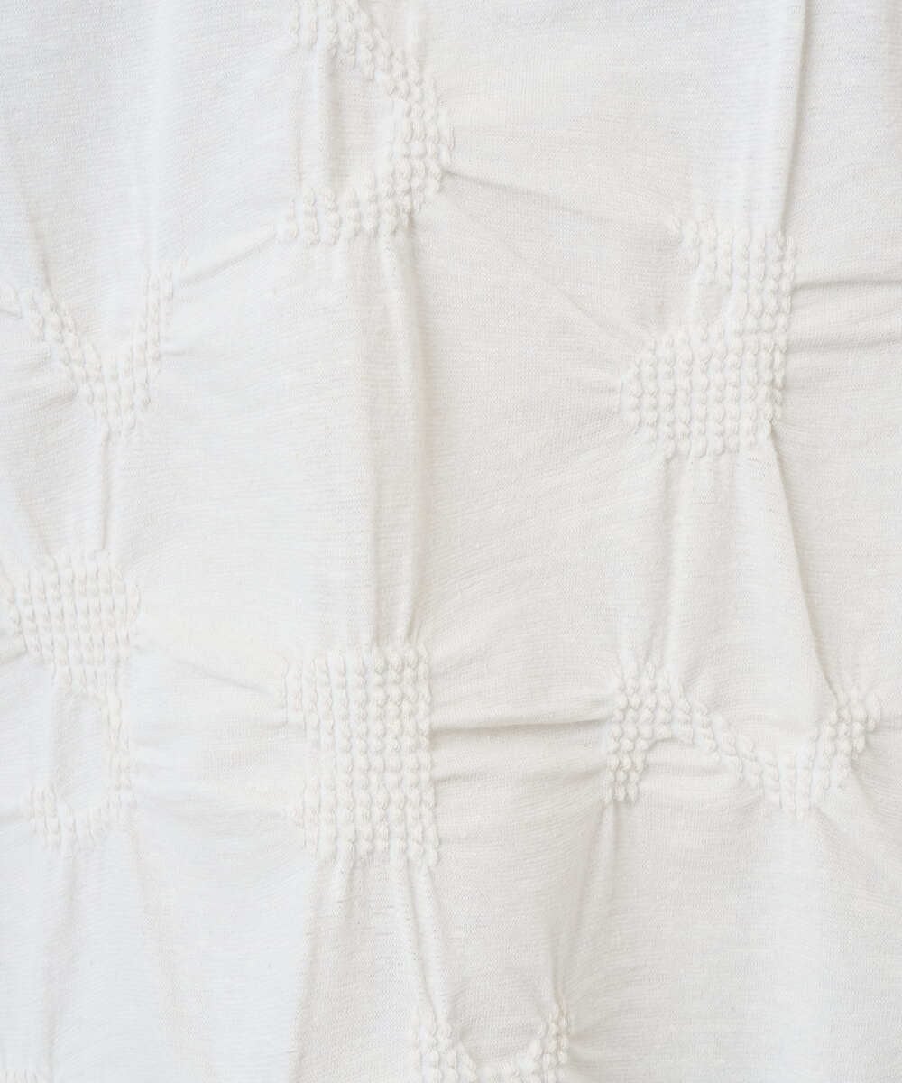 NGKGE47170 GIANNI LO GIUDICE(ジャンニ ロ ジュディチェ) [洗える・日本製]麻混シャーリングフレンチスリーブカットソー ライトブルー