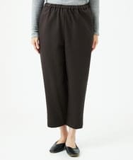 NGLAD01190 GIANNI LO GIUDICE(ジャンニ ロ ジュディチェ) [洗える・日本製]デュアルウォームモイストポンチパンツ ブラウン