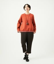 NGLAD01190 GIANNI LO GIUDICE(ジャンニ ロ ジュディチェ) [洗える・日本製]デュアルウォームモイストポンチパンツ ブラウン