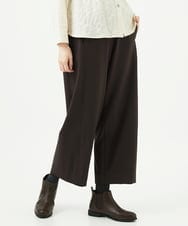 NGLAE40230 GIANNI LO GIUDICE(ジャンニ ロ ジュディチェ) [洗える・日本製]プレスウォームストレッチパンツ ブラウン