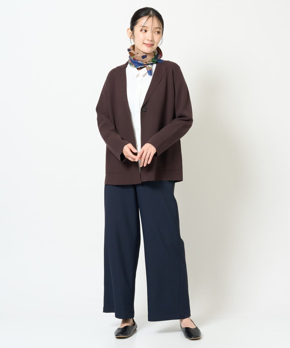 NGSJD11390 GIANNI LO GIUDICE(ジャンニ ロ ジュディチェ) [洗える]ヴィスコースナイロンミラノテーラージャケット ブラウン