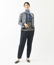NGSJS10390 GIANNI LO GIUDICE(ジャンニ ロ ジュディチェ) [洗える・日本製]マルチタックボーダーブルゾン ネイビー