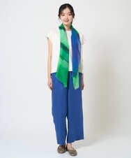 NK3GE44130 GIANNI LO GIUDICE(ジャンニ ロ ジュディチェ) ブルーリーボーダーストール グリーン