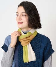 NR3AE15100 GIANNI LO GIUDICE(小さいサイズ)(メゾン ドゥ サンク) カラーブロックストール グリーン