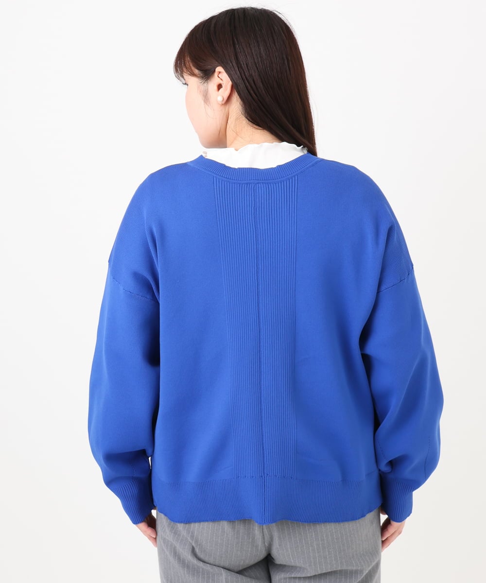 OLCAD10099 eur3(エウルキューブ) 【WEB先行販売】【大きいサイズ】2WAYカーディガン ブルー(55)