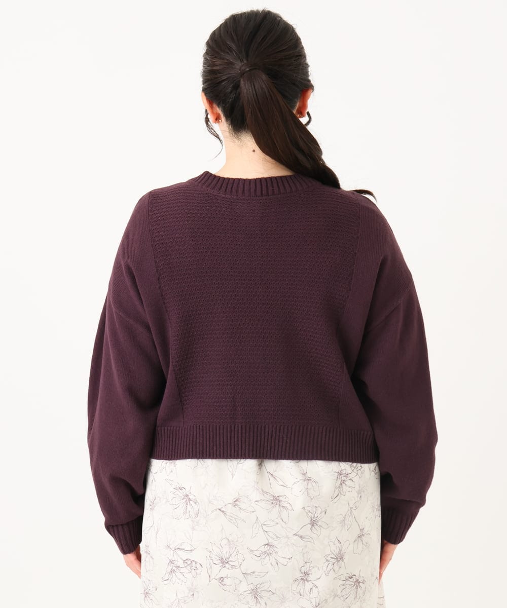 OLCBA08099 eur3(エウルキューブ) 【大きいサイズ】2WAYカーディガン ワイン(77)