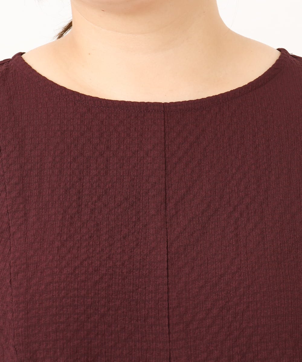 OLEKD12099 eur3(エウルキューブ) 【WEB先行販売】【大きいサイズ】ドライタッチAラインチュニック ワイン