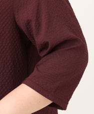 OLEKD12099 eur3(エウルキューブ) 【WEB先行販売】【大きいサイズ】ドライタッチAラインチュニック ワイン