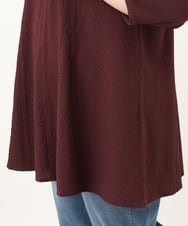 OLEKD12099 eur3(エウルキューブ) 【WEB先行販売】【大きいサイズ】ドライタッチAラインチュニック ワイン