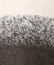 OLFBD15109 eur3(エウルキューブ) 【WEB先行販売】【大きいサイズ】グラデーションシャギーニット ダークブラウン(87)