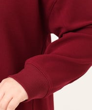 OLKKD11089 eur3(エウルキューブ) 【大きいサイズ】袖リブイレヘムカットソー ワイン