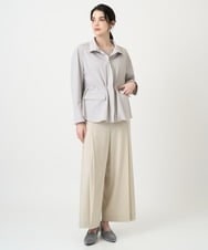 PJJEE16520 CHRISTIAN AUJARD Lサイズ(クリスチャン・オジャール Lサイズ) 【大きいサイズ/シワになりにくい】タフタジップジャケット ライトグレー