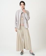 PJJEE16520 CHRISTIAN AUJARD Lサイズ(クリスチャン・オジャール Lサイズ) 【大きいサイズ/シワになりにくい】タフタジップジャケット ライトグレー