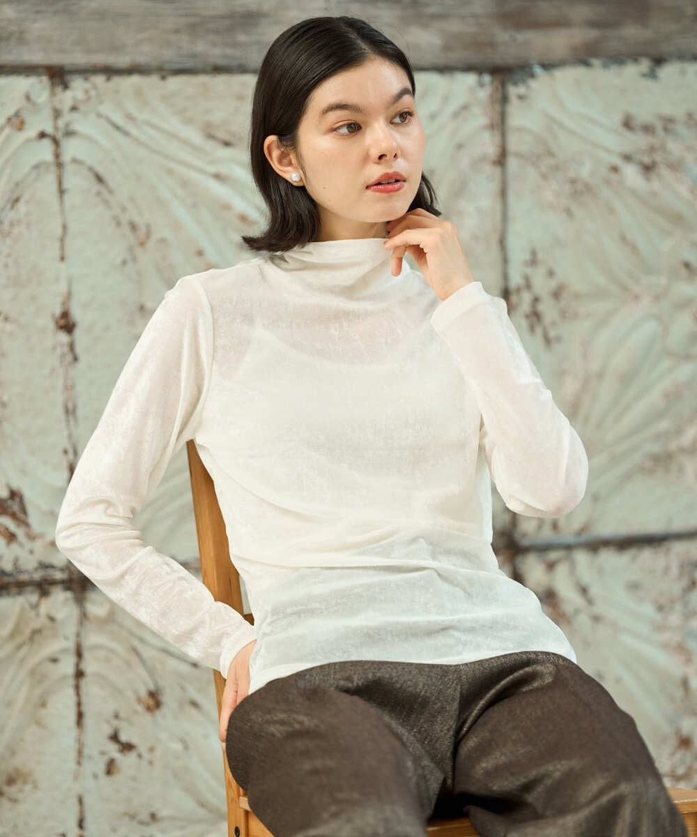 PJKAG36250 CHRISTIAN AUJARD Lサイズ(クリスチャン・オジャール Lサイズ) 【大きいサイズ】グロッシーメッシュベロアカットソー アイボリー