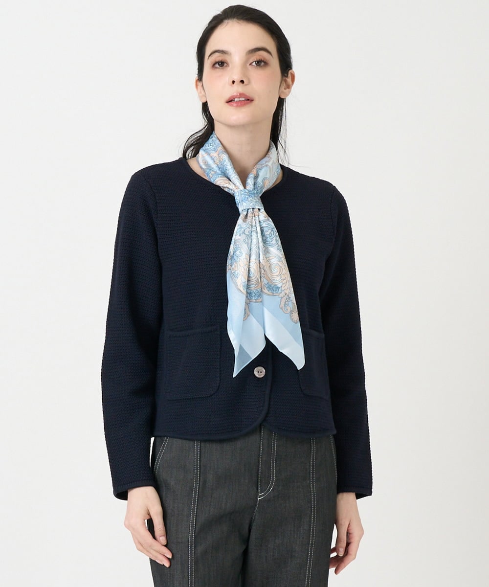 PL3GE06100 CHRISTIAN AUJARD(クリスチャン・オジャール) シャドーストライプスカーフ ライトブルー