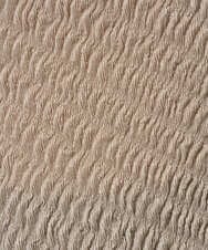 PZBGD20230 GEORGES RECH(ジョルジュ・レッシュ) プリーツフレンチスリーブプルオーバー ブラック