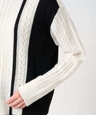 PZFCD59290 GEORGES RECH(ジョルジュ・レッシュ) バイカラーボートネックケーブルニット ブラック