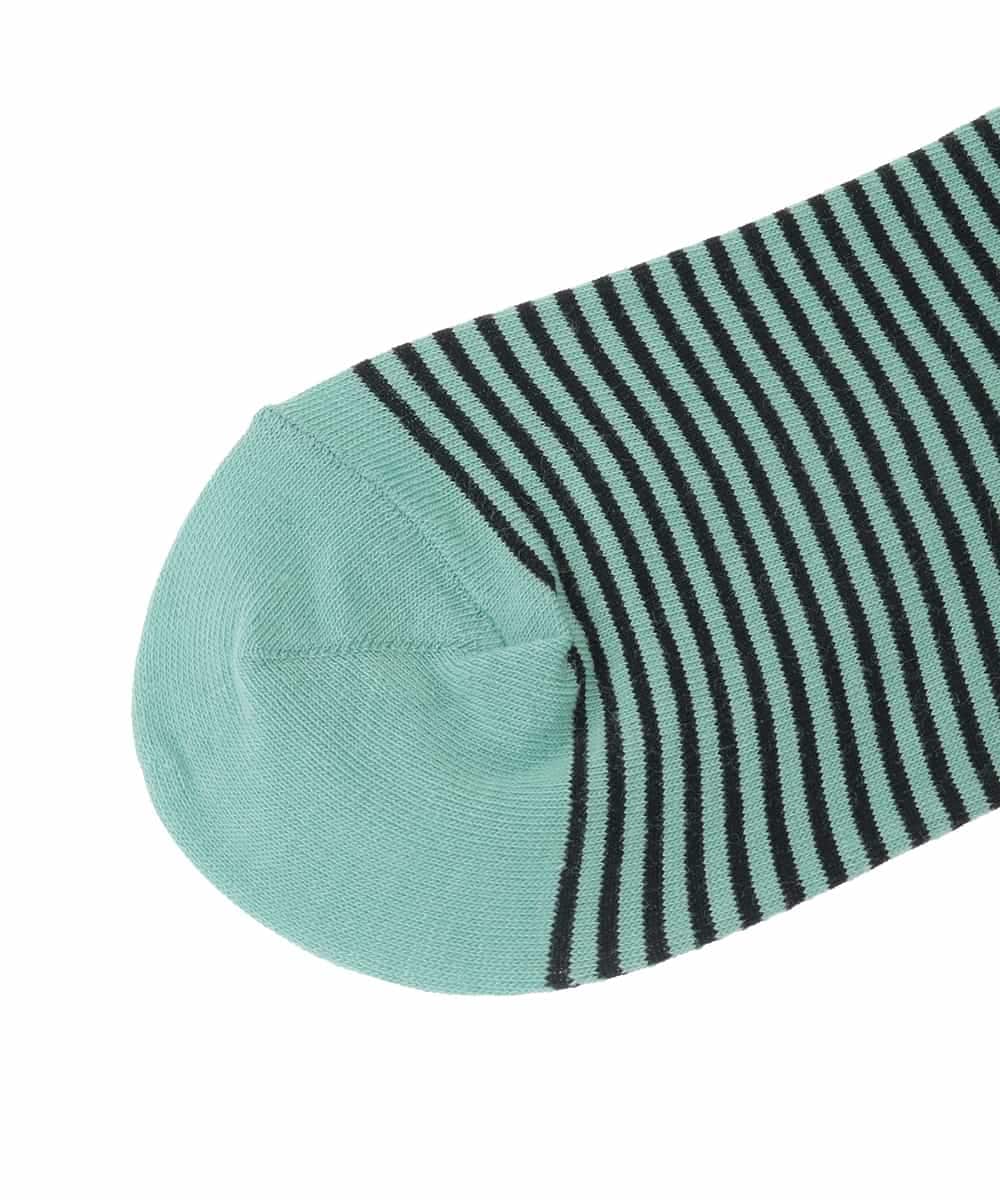 RG8ED01039 TRUNK HIROKO KOSHINO(ヒロココシノ) ロゴボーダージャカードソックス/日本製/洗濯機で洗える グリーン