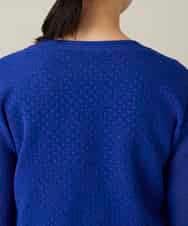 RHFGD05390 HIROKO KOSHINO(ヒロココシノ) シアーメッシュニットプルオーバー /洗える ブルー