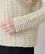 RHKED50450 HIROKO KOSHINO(ヒロココシノ) ブリスタージャカードラメ入りプルオーバー /日本製/洗える ベージュ