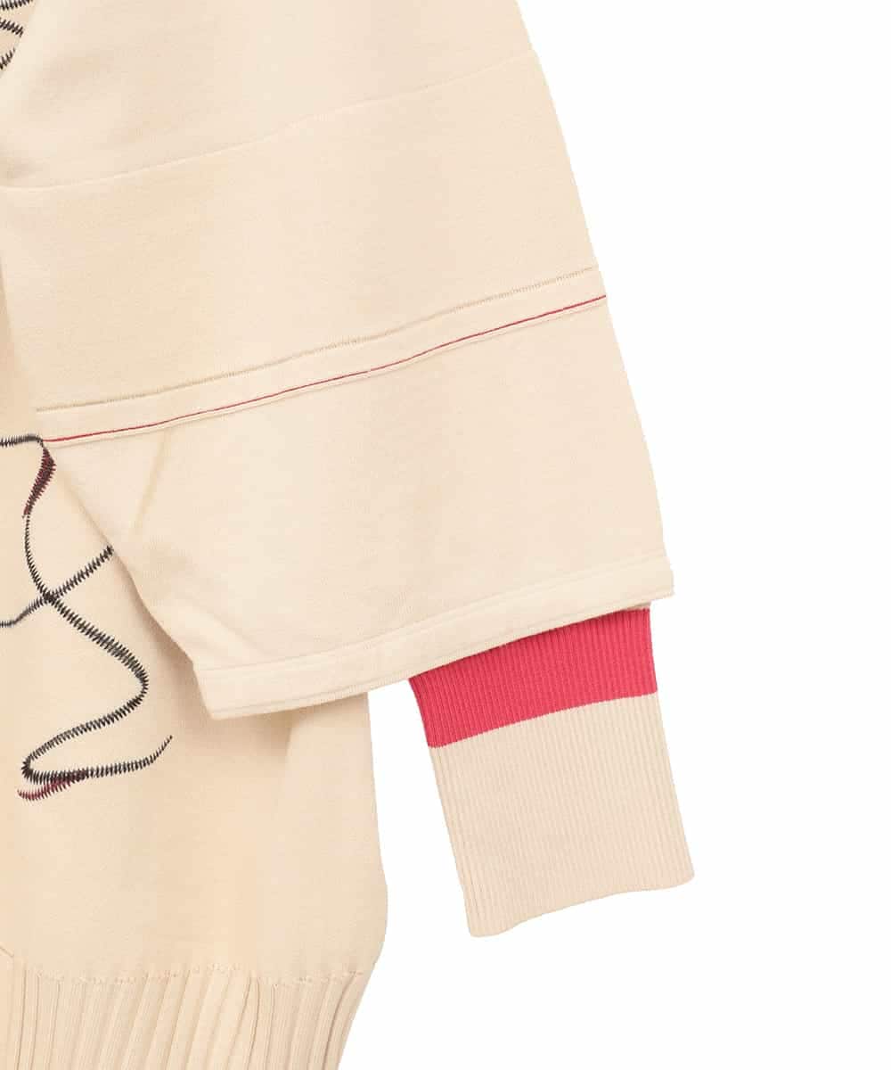 RLFAE50360 HIROKO BIS GRANDE(ヒロコ ビス グランデ) 【大きいサイズ】ニュアンス刺繍アクセントニットプルオーバー ベージュ