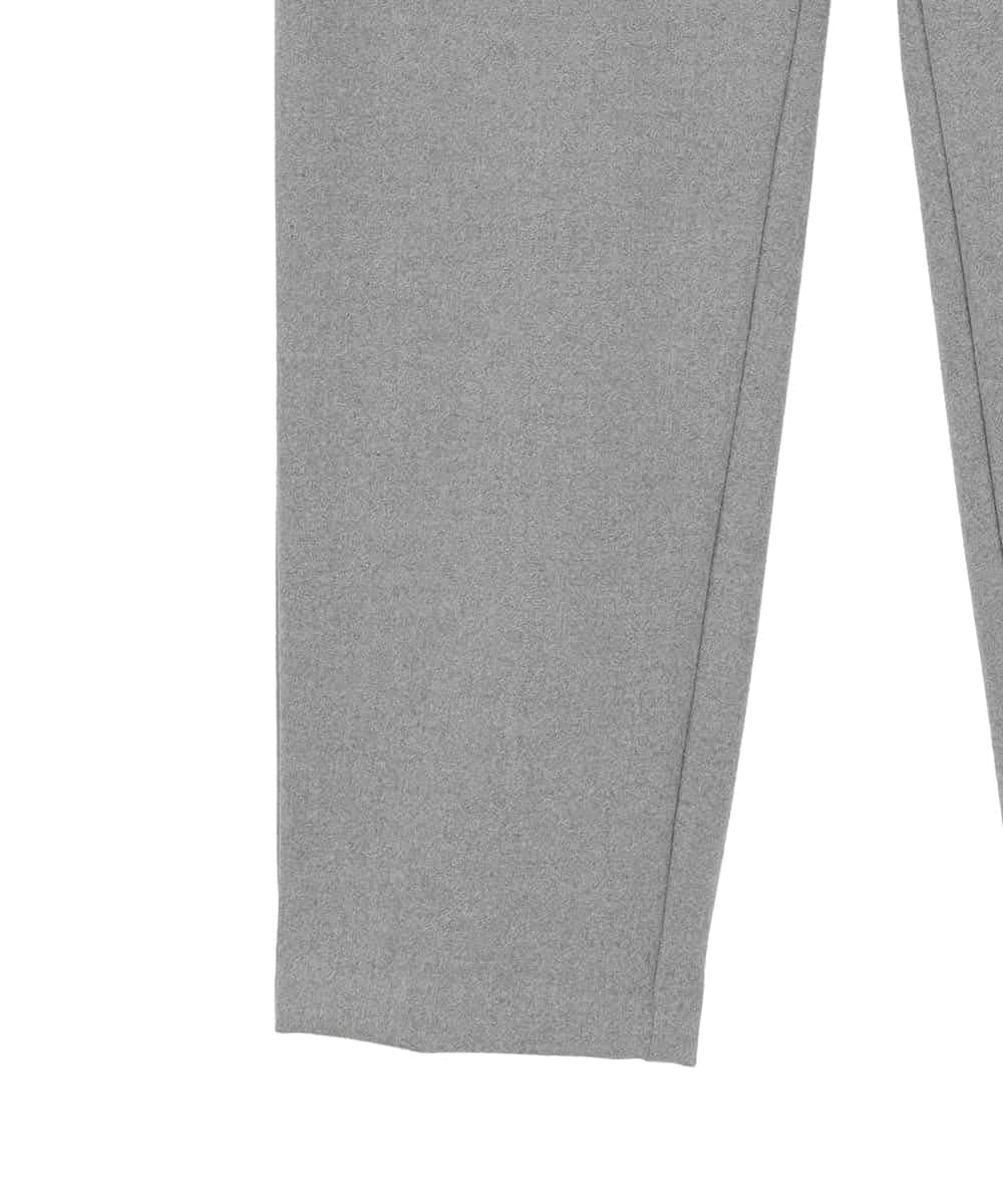 RLLAE20250 HIROKO BIS GRANDE(ヒロコ ビス グランデ) 【大きいサイズ】両面起毛デザインプルオンパンツ /洗える グレー