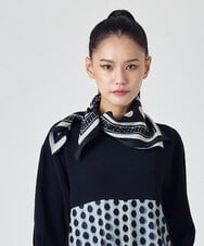 RP3JD03100 HIROKO BIS(ヒロコ ビス) ドットストライプ両面プリントスカーフ ブラック