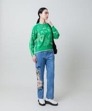 RSFEE21390 TRUNK HIROKO KOSHINO(ヒロココシノ) カノコジャカードデザインニットプルオーバー/日本製 グリーン