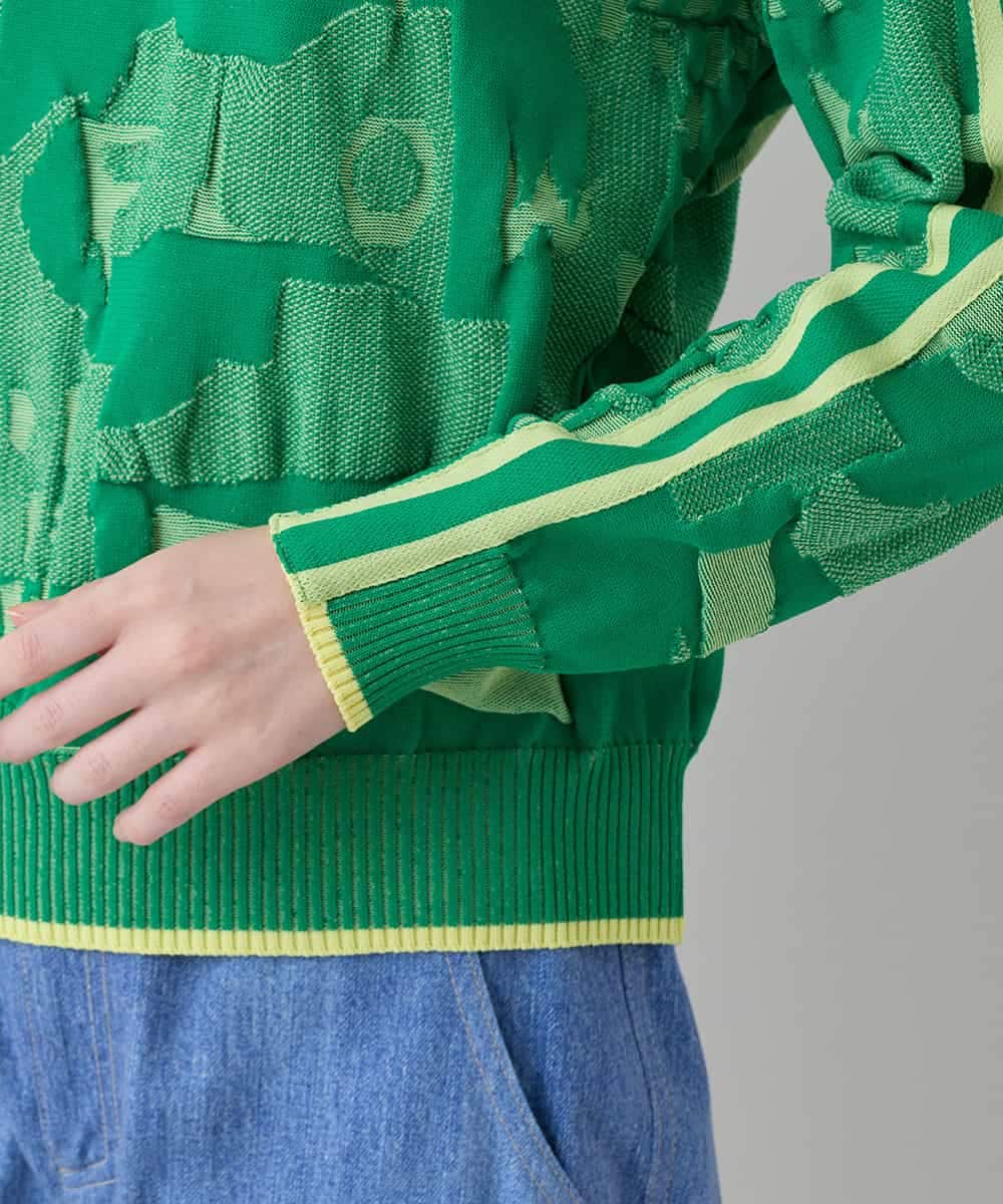 RSFEE21390 TRUNK HIROKO KOSHINO(ヒロココシノ) カノコジャカードデザインニットプルオーバー/日本製 グリーン